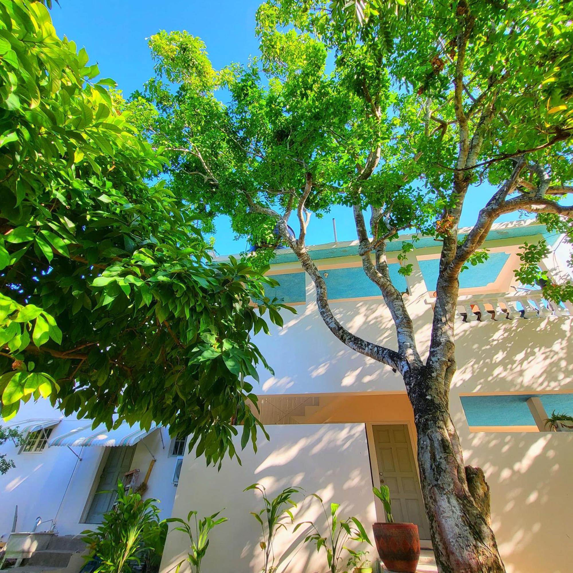 绿宫牙买加酒店 Oracabessa 外观 照片